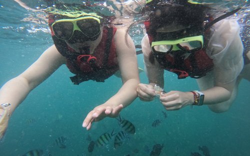 Expérience de plongée en apnée à Nusa Dua Bali