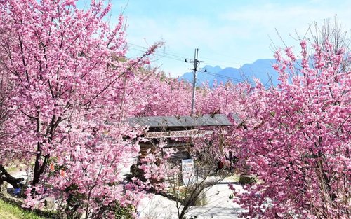 One-day cultural tour of Smangus, Hsinchu