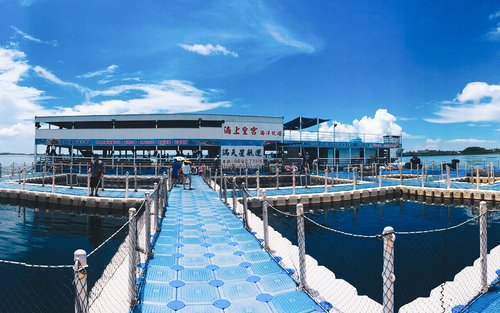 Penghu Marine Ranch: Marine Palace - Squid Fishing & Seafood BBQ
