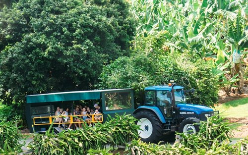 黄金海岸热带水果世界与拜伦湾一日游