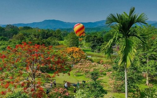 【Passeio em grupo de 3 dias e 2 noites em Xishuangbanna】 Explore a floresta primitiva + experimente os costumes folclóricos