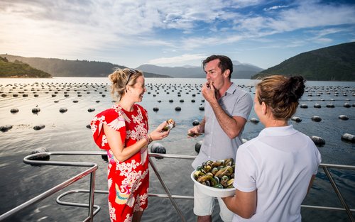 Круиз за зелеными мидиями Greenshell в Мальборо