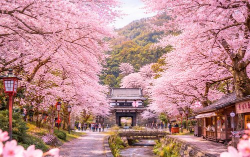 由布院・別府灶地獄・太宰府天滿宮一日遊（福岡出發）｜中文導遊・含灶地獄門票