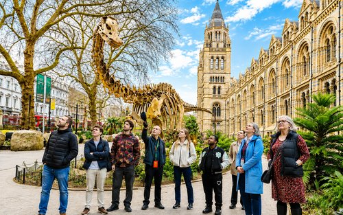 Visita guiada de medio día al Museo de Historia Natural de Londres