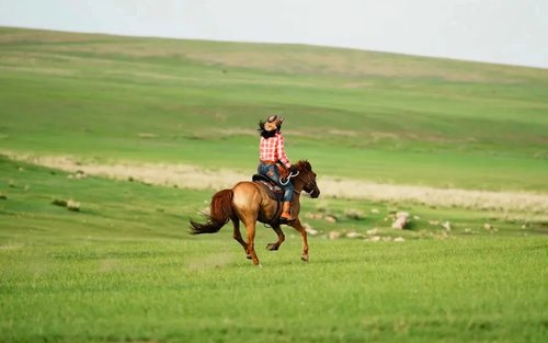 Лятна степ|6 дни във Вътрешна Монголия Хулунбуир