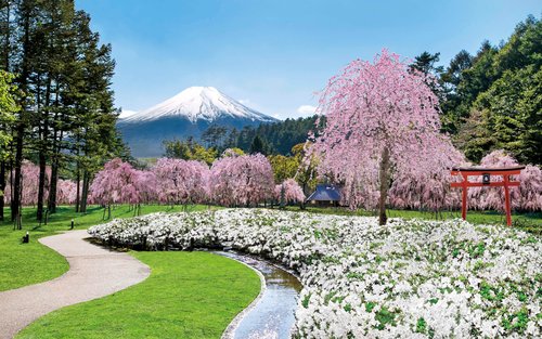 從Tokyo出發，前往富士山、蘆之湖及Hakone一日遊