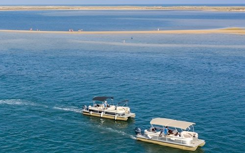 Boat tour to Ria Formosa: Deserta and Farol islands from Faro