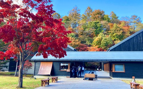 小眾度假聖地：輕井澤一日遊 ｜輕井澤奧特萊斯或星野度假區之雲場池*星野溫泉 + 川越小江戶+冰川神社 |東京出發