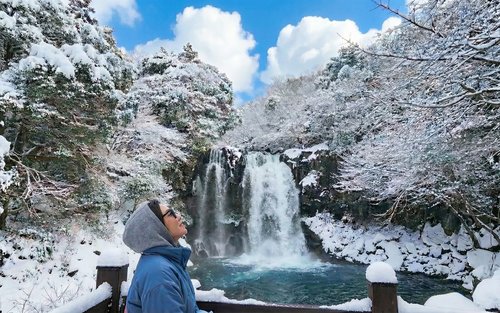 Best Jeju Explorer - Views, Nature & Tangerine Farm Experiences 