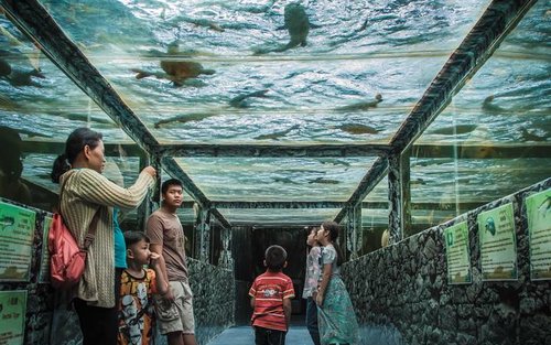 Vé Thuỷ Cung Monster Aquarium Pattaya