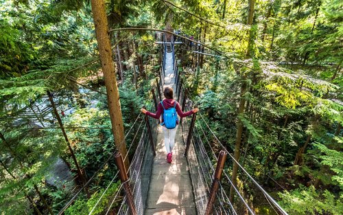 Vancouver Stanley Park & Capilano Suspension Bridge Day Tour