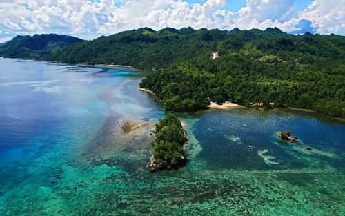 Sipalay's Aquatic Delights: Full-Day Dive Trip with PADI 5* Center
