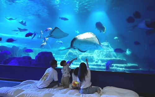 花蓮遠雄海洋公園：海洋夜未眠・夜宿水族館・藍鯨艙・住宿體驗