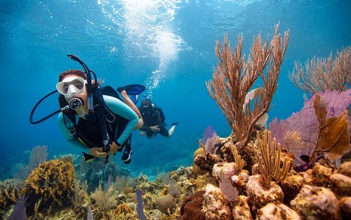 Explore Underwater Wonders: Open Water in Phuket with PADI Center