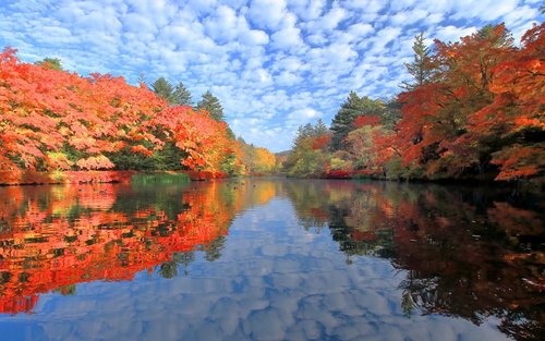 Tokyo Karuizawa Full-Day Private Customizable Tour