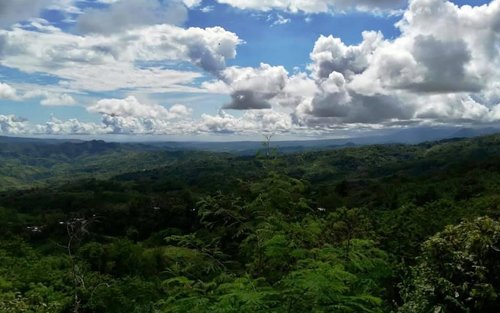 Highlands Tour in Davao