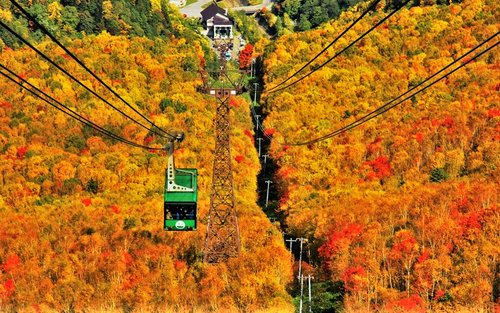ropeway in autumn
