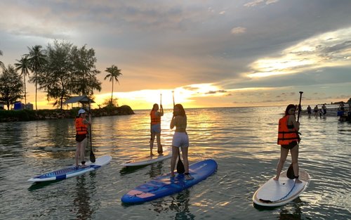 Mangrove Forest SUP (Paddle Board) experience