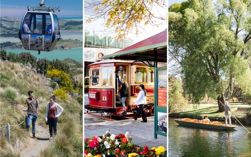 Christchurch Combos - Double or Triple Pass