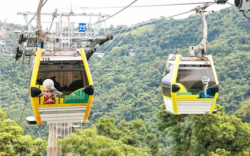 Paquete de entradas para el teleférico Maokong de Taipéi