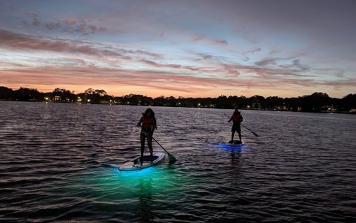 Comb Jelly Bioluminescence Kayak & Paddleboard Tour in Titusville