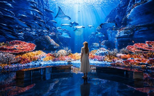 Hei Museum & Paju Outlets Half-Day Shopping & Photo Tour