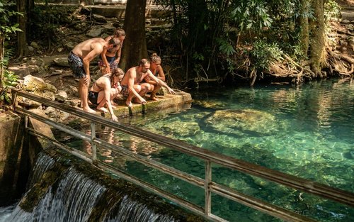 ผจญภัยเต็มวันในอุทยานแห่งชาติเขาใหญ่จากกรุงเทพฯ พร้อมสวนสัตว์สิงคโปร์ ไนท์ ซาฟารี