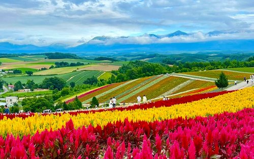 Top 10 Sapporo Tours 2026 - Klook United States