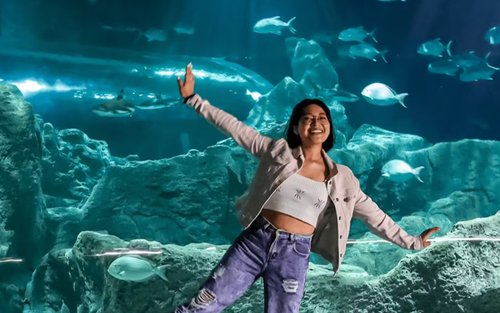 瓜达拉哈拉 Michin 水族馆门票