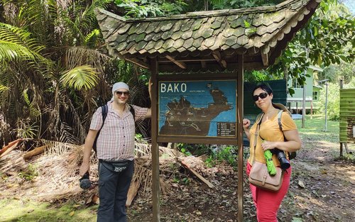 Bako National Park & Permai Rainforest 2-Day Wildlife Tour