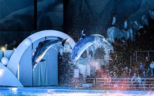 Parque Oceanográfico Polar de Qingdao