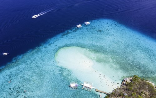 Whale Shark Encounter, Sumilon Sandbar, and Canyoneering in Kawasan Falls