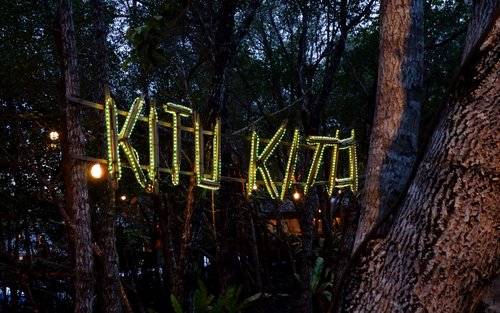 Firefly Watching in Puerto Princesa