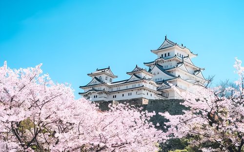 Pribadong Custom Tour sa Himeji kasama ang Lokal na Gabay