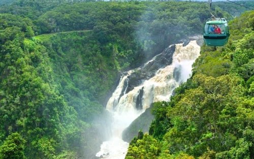 凯恩斯库兰达雨林及小镇一日游(中文导览)