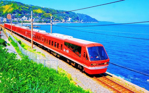 Izu Sea View Train Experience - Mount Omuro Jogasaki Coast Volcanic Seascape Day Trip (Departing from Tokyo)