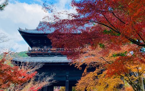 Bambuskunst & Zen-Gelassenheit – Ruhe und Frieden mit Ginkaku-ji in Kyoto