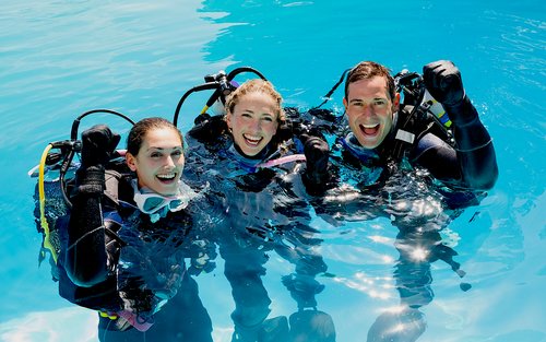 Expérience de plongée sous-marine dans le parc national de Komodo avec Maika Diving
