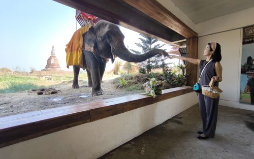 Pasyal sa World Heritage Site na Ayutthaya + Pagbisita sa isang cafe kung saan naglalaro ang mga elepante o pamamasyal sa palengke sa tubig, kalahating araw na tour (mula sa Bangkok / may kasamang Japanese guide)