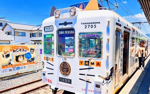 Wakayama·Shirarahama｜Pengalaman Kereta Api Stesen Kucing Kishi·Shirarahama Senjojiki·Sandanbeki Lawatan Sehari｜Bertolak dari Osaka