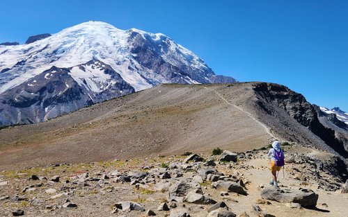 Explore wildflower meadows and epic views on Mount Rainier's Burroughs hike!