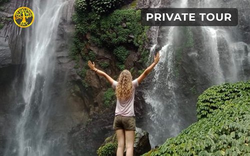 Excursió privada a la cascada de Sekumpul i la Porta del Cel a Bali amb dinar