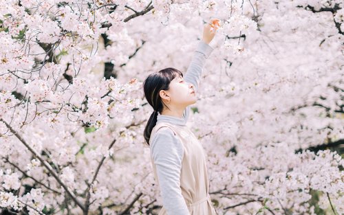 快照寫真拍攝體驗（名古屋）