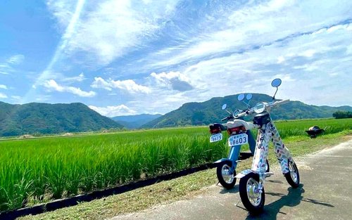 Toyooka Kinosaki Onsen & Genbudo Park Half-Day Exploration with EV Mobility