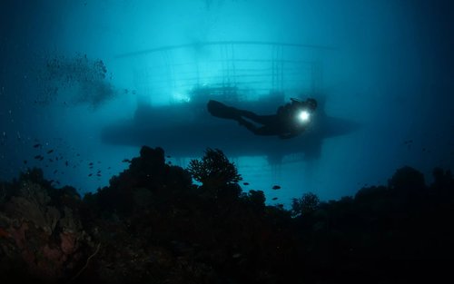 Exploring Puerto Galera's Depths: Advanced Diver with PADI 5* Center