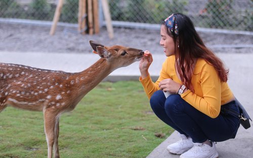 Yilan: Xingbao Scallion Experience Farm - Animal Tour & Scallion Pancake DIY