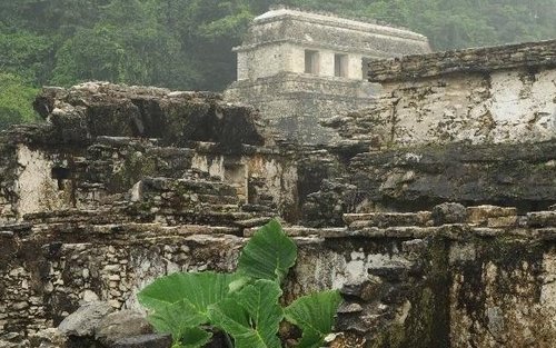 帕伦克、阿瓜阿苏尔瀑布和米索尔哈瀑布小团游