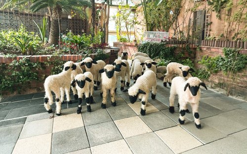 Pocheon Art Valley, Herb Island & My Animal Story Full-Day Experience