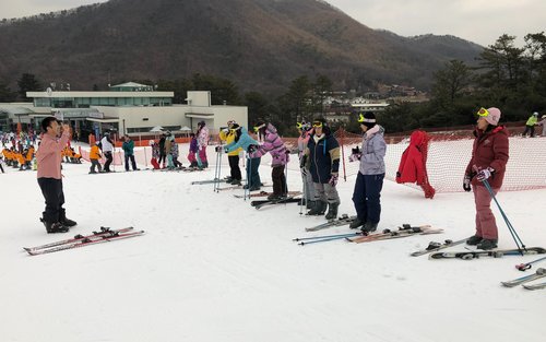Całodniowa wycieczka narciarska do ośrodka narciarskiego Seoul Jisan Forest Ski Resort z transferami