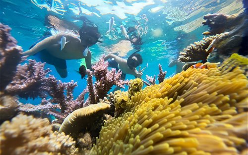 Nha Trang Half-Day Snorkeling Adventure with BBQ Onboard